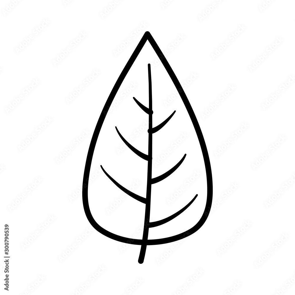 leaf nature foliage on white background thick line leaf nature foliage on white background thick line