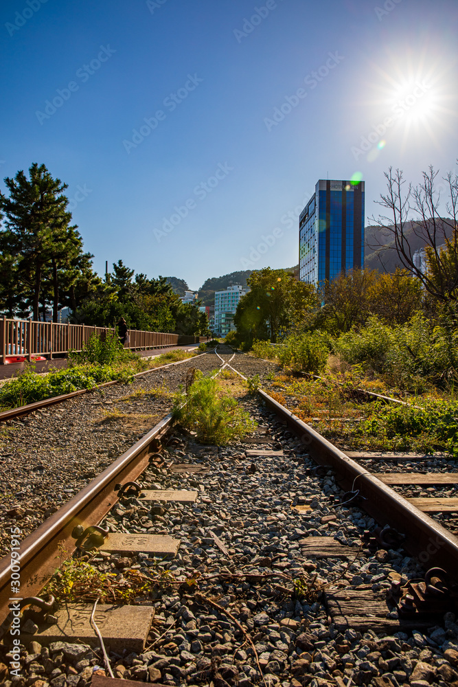 Fototapeta premium railway 