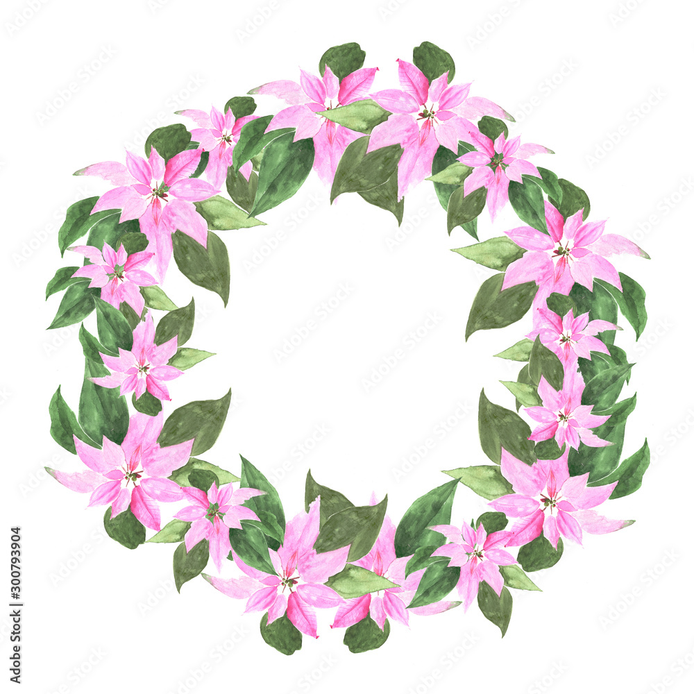 Christmas wreath with poinsettia plant. Hand-drawn watercolor botanical illustration. Realistic isolated object on a white background for your design