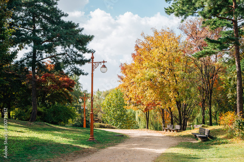 World Cup Park, Pyeonghwa park at autumn in Seoul, Korea