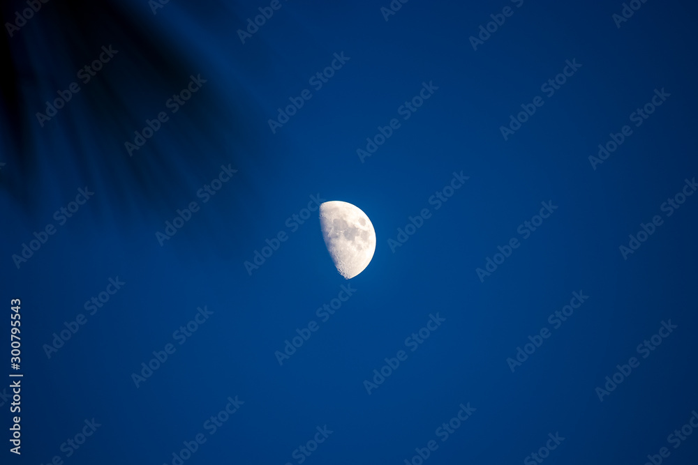 Third Quarter phase of the moon waxing gibbous Third Quarter phase of the moon waxing gibbous