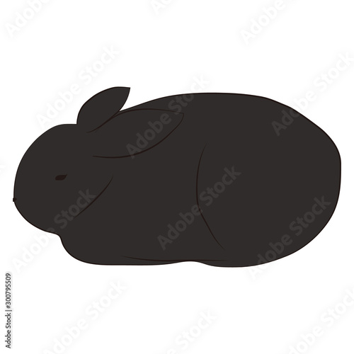 ウサギ