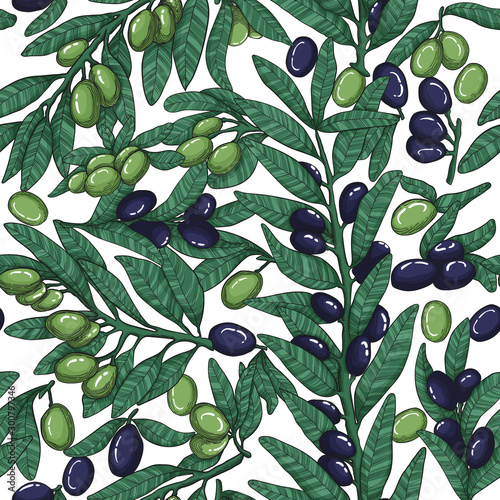 Vector Seamless pattern with black and green olives, branches and leaves. Hand drawn linocut ecologic elements on white background. Design for labels, wrappers, textiles, web design.