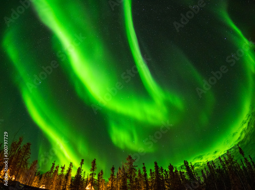 カナダ　イエローナイフ郊外のオーロラ　Aurora of Yellowknife, Canada photo