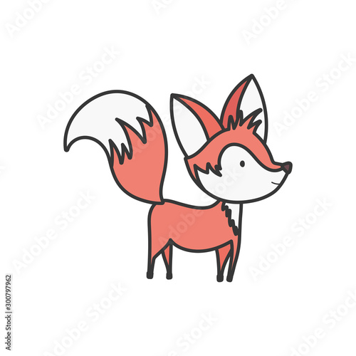 cute fox with big tail standing on white background