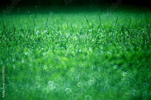 The dew on the grass in the morning is illuminated by the sun and the beautiful bokeh of the circle