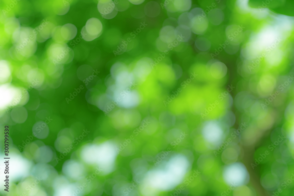 natural green bokeh abstract background,blurred textured natural green bokeh abstract background,blurred textured