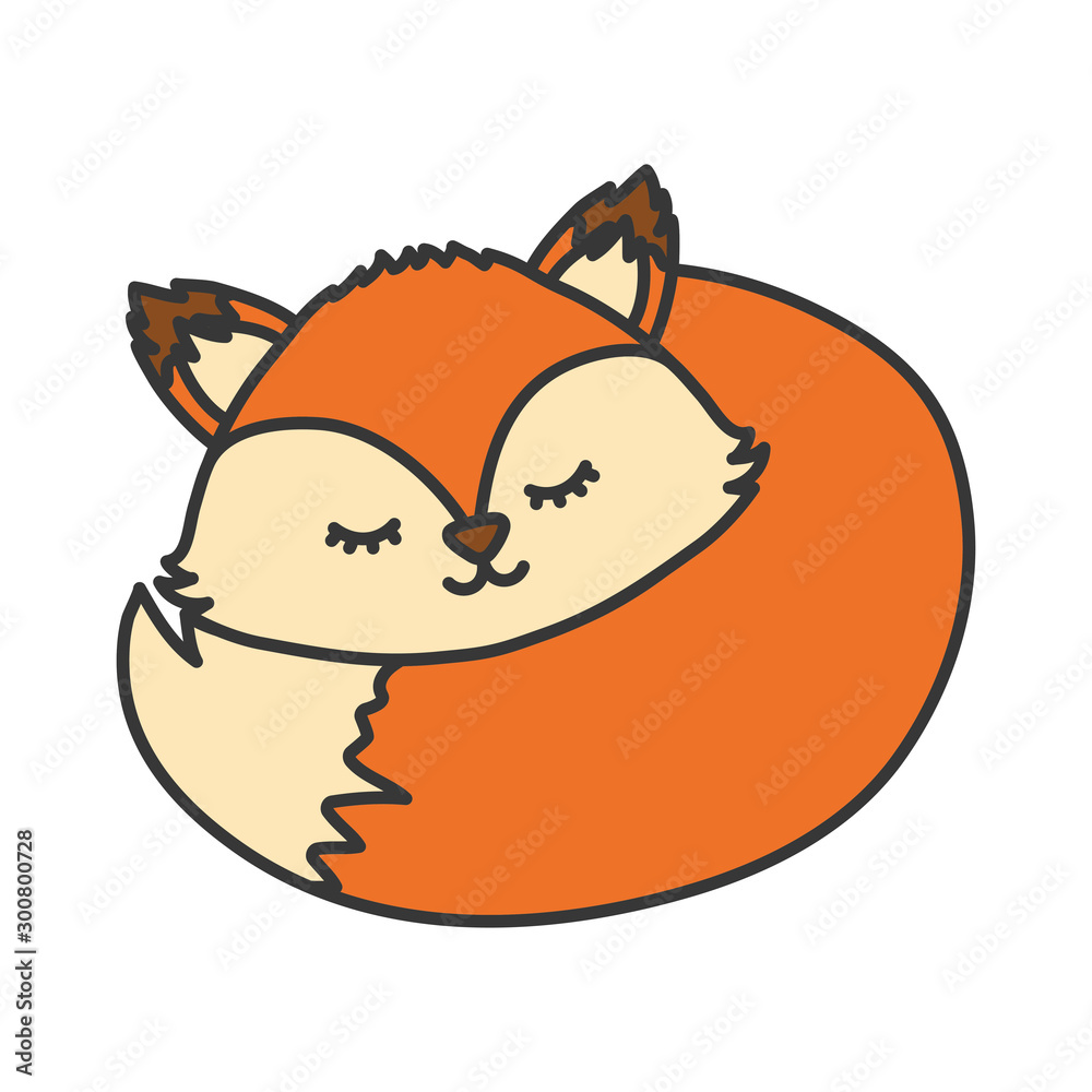 sleeping fox animal on white background sleeping fox animal on white background