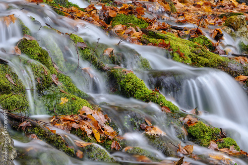 Mossy and leaf filled brooks and stream during the autumn and fall colors of Mt Mansfield area near Stowe Vermont photo