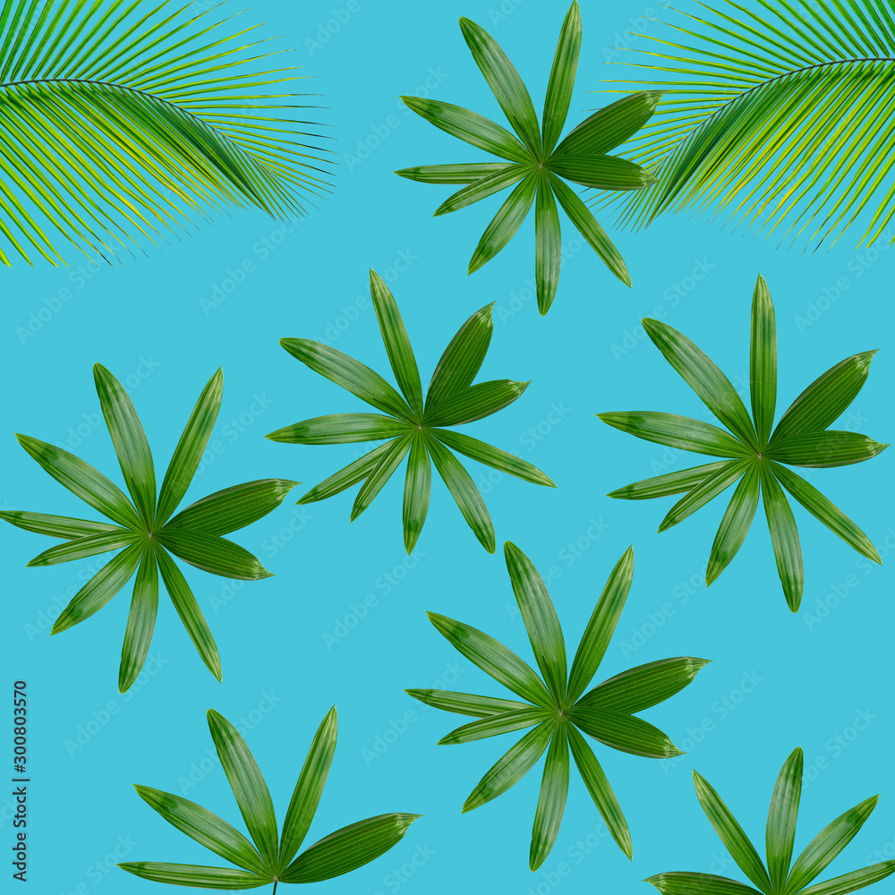 Green palm leaves pattern for nature concept,tropical leaf on blue background