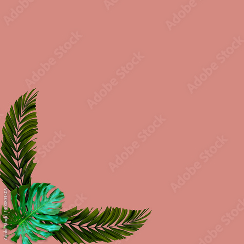 Green palm leaves pattern for nature concept tropical leaf on pink background