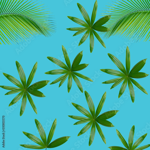 Green palm leaves pattern for nature concept,tropical leaf on blue background © sirawut