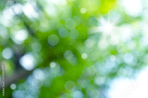natural green bokeh abstract background,blurred textured