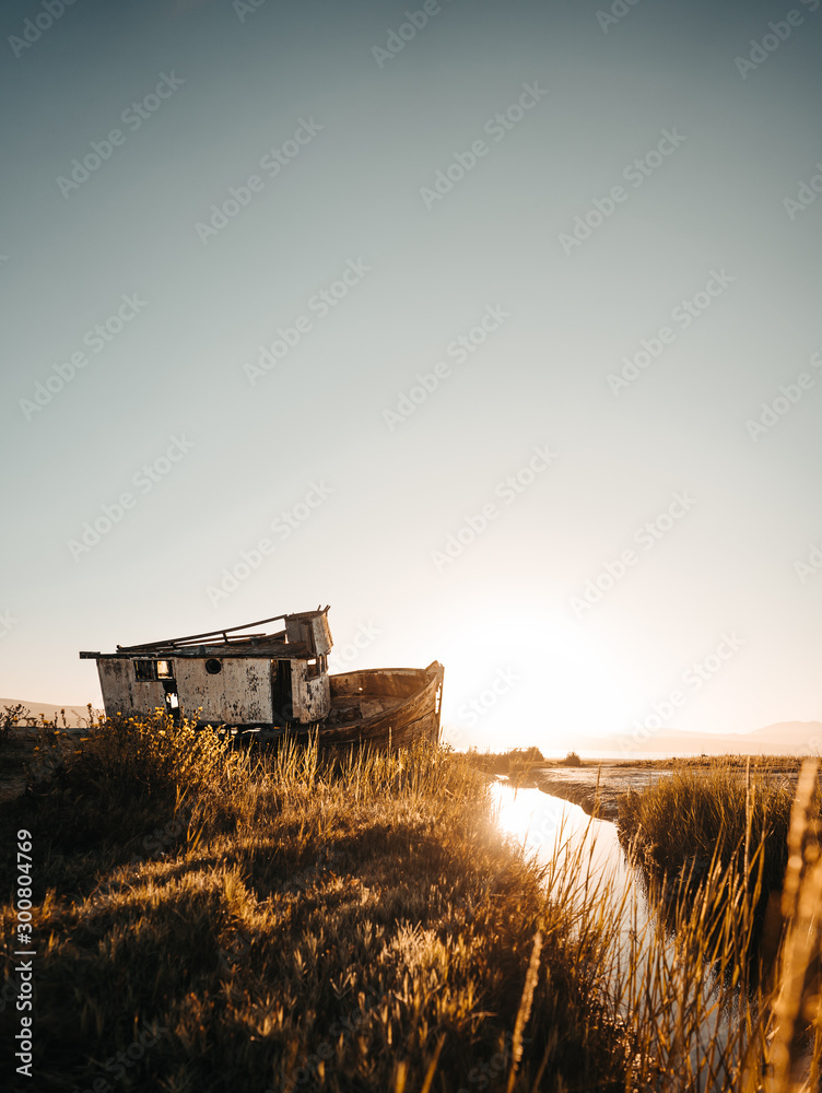 Fototapeta premium Old Shipwreck at the Beach in Point Reyes