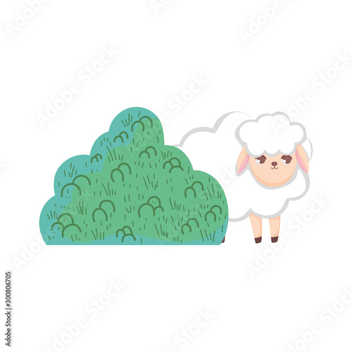 sheep bush nature cartoon design
