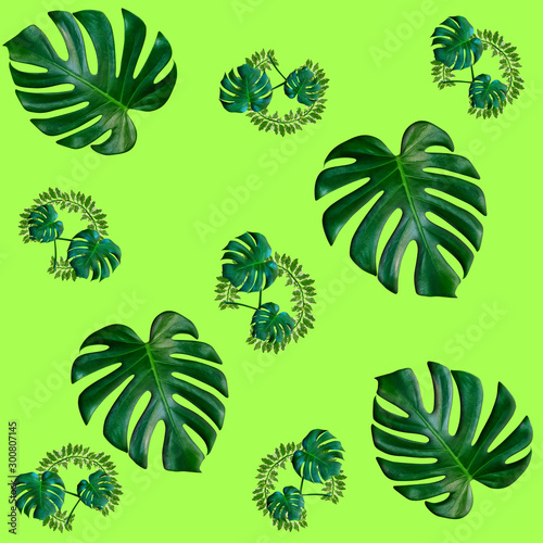 Green palm leaves pattern for nature concept,tropical leaf on green background © sirawut