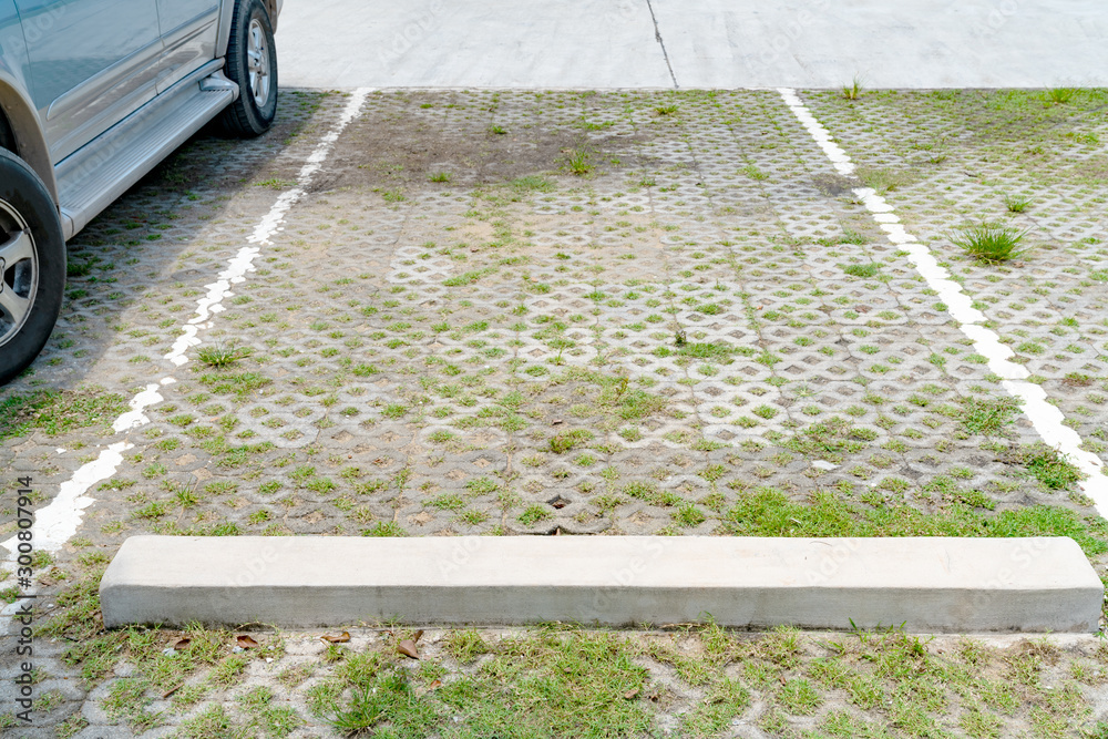 Obraz premium Lines parking on brick and grass background