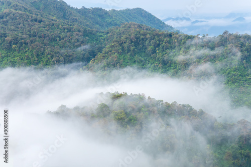 Mountain forest with white clouds or fog at morning time at "LerGuaDa" Tak province, Thailand, Asia.