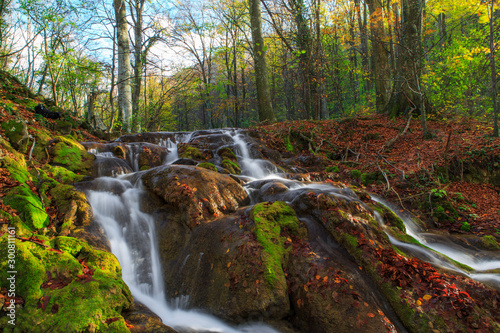 Beautiful stream and autumn colors in the forest, on a sunny day in November