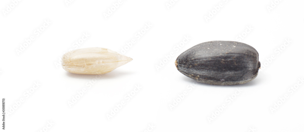 Processed sunflowers seeds isolated on white background with clipping path Processed sunflowers seeds isolated on white background with clipping path