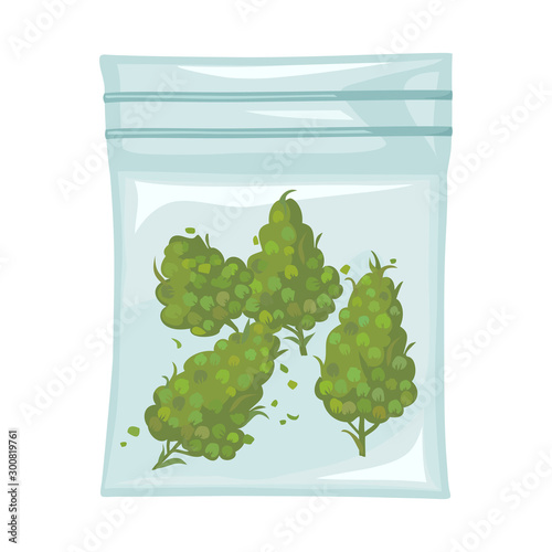 Isolated object of marijuana and bag sign. Graphic of marijuana and sack stock symbol for web.