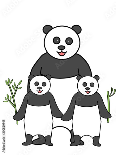 Fototapeta Naklejka Na Ścianę i Meble -  panda and bamboo