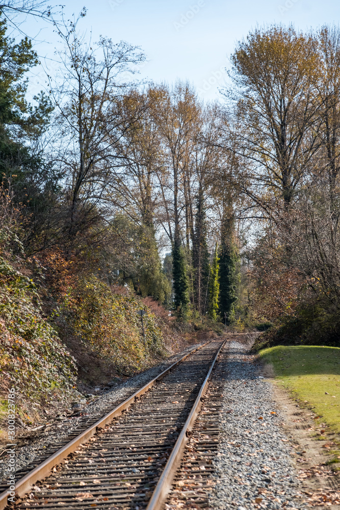 railway track covered by fall leaves near the park with trees and bushes on both side with beautiful autumn colour