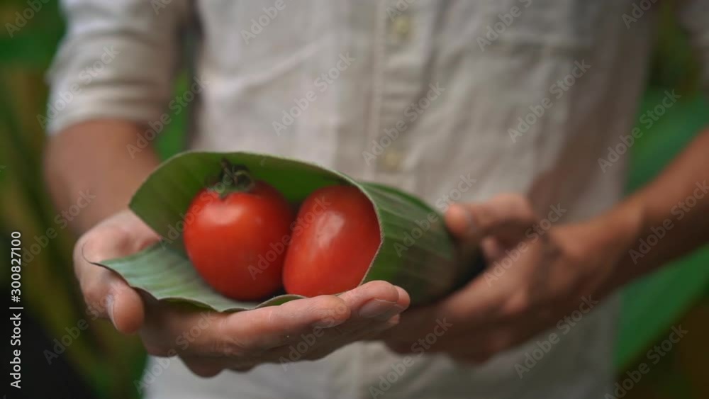 Eco-friendly product packaging concept. Vegetables wrapped in a banana leaf, as an alternative to a plastic bag. Zero waste concept. Alternative packaging Eco-friendly product packaging concept. Vegetables wrapped in a banana leaf, as an alternative to a plastic bag. Zero waste concept. Alternative packaging