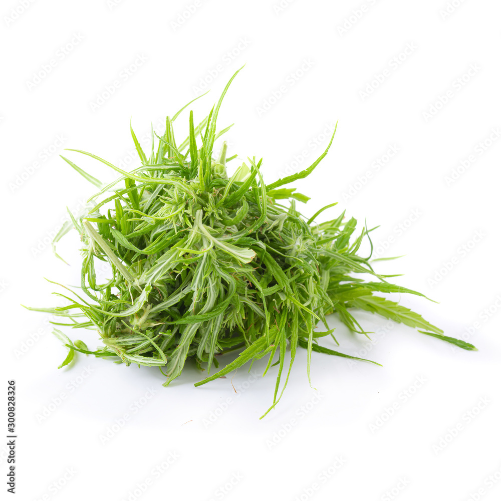 up-close with marijuana buds isolated on white background. concentrated cannabinoids from marijuana plants up-close with marijuana buds isolated on white background. concentrated cannabinoids from marijuana plants