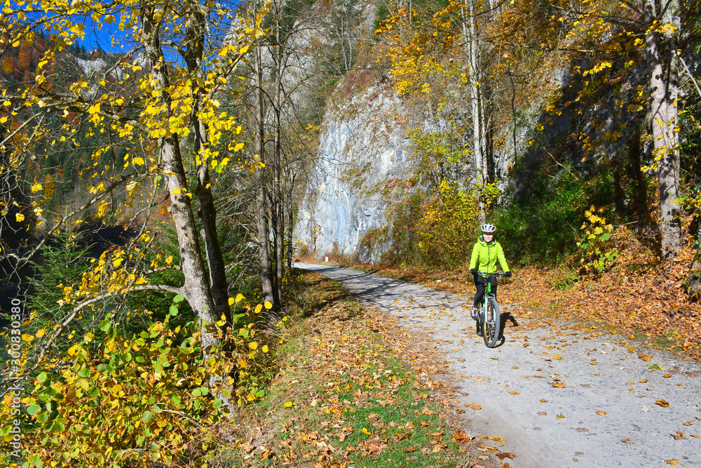 Obraz premium The woman is riding a bicycle along Dunajec river in autumn sunny day, Pieniny mountains