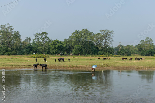 Water hole