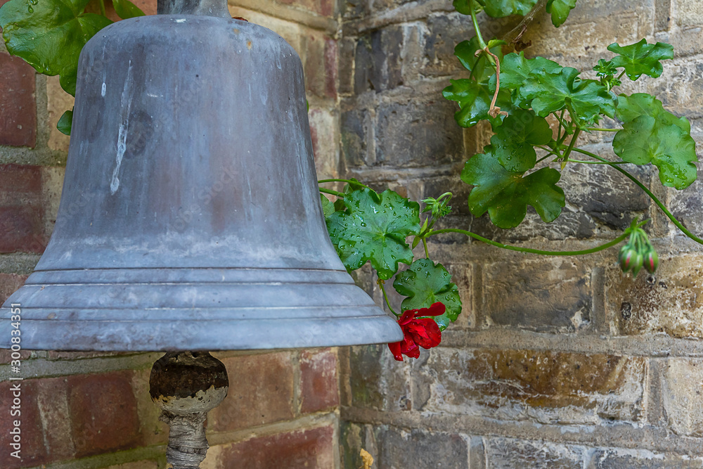 Obraz premium old bell red flower
