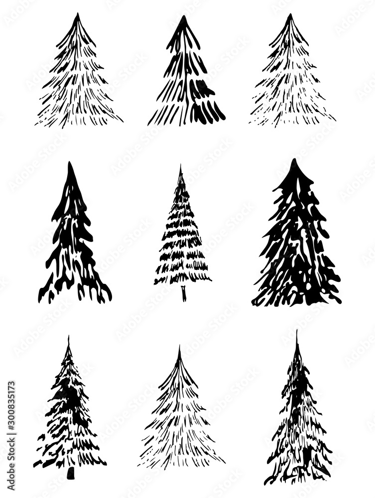 set of christmas trees isolated on white background