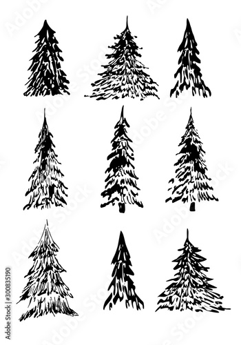 set of hand drawn winter trees