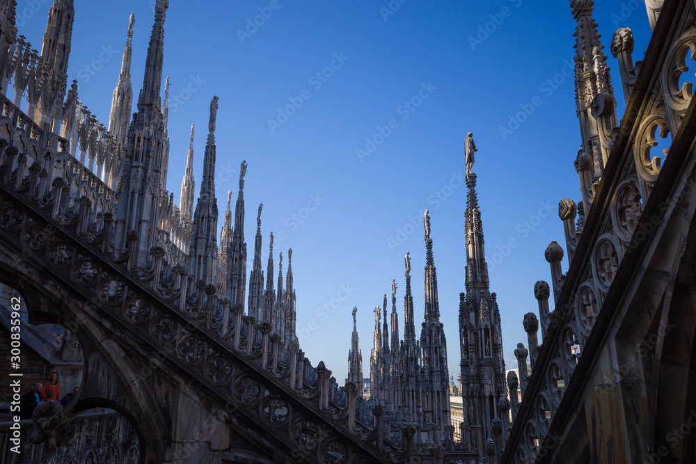 Roof top Duomo di Milano Cathedral