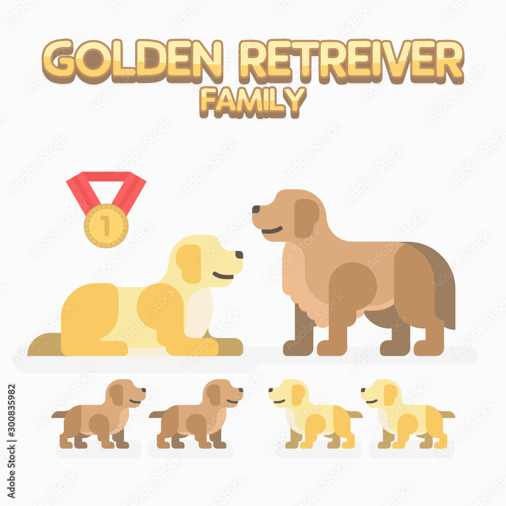 Obraz premium Golden Retreiver Family Set Flat Vector
