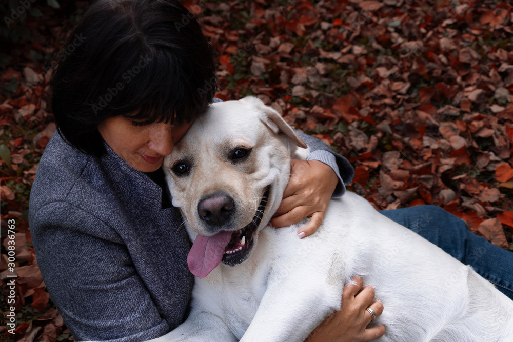 Beautiful woman holding a white babrador in her arms, sticking out her tongue from pleasure Beautiful woman holding a white babrador in her arms, sticking out her tongue from pleasure