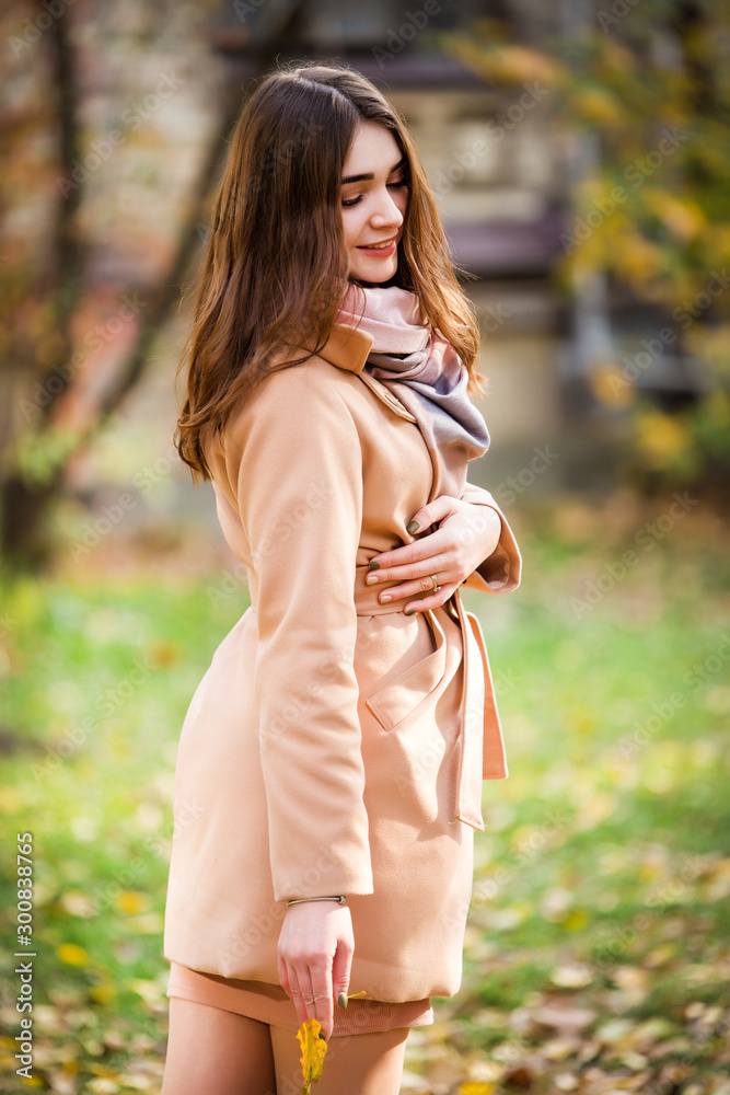 stylish woman in autumn park stylish woman in autumn park