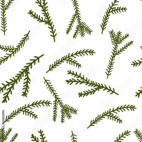Seamless pattern Spruce branch on a white background. New Year's Eve. Christmas. A set of branches. Christmas tree. Pine. Vector.
