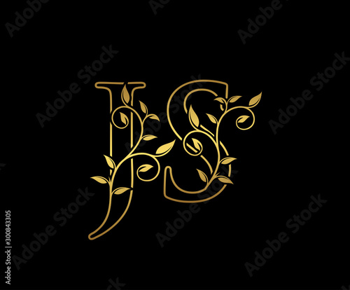 Classy letter J and S, JS  vintage decorative ornament emblem badge, overlapping monogram logo, elegant luxury gold color on black background.
