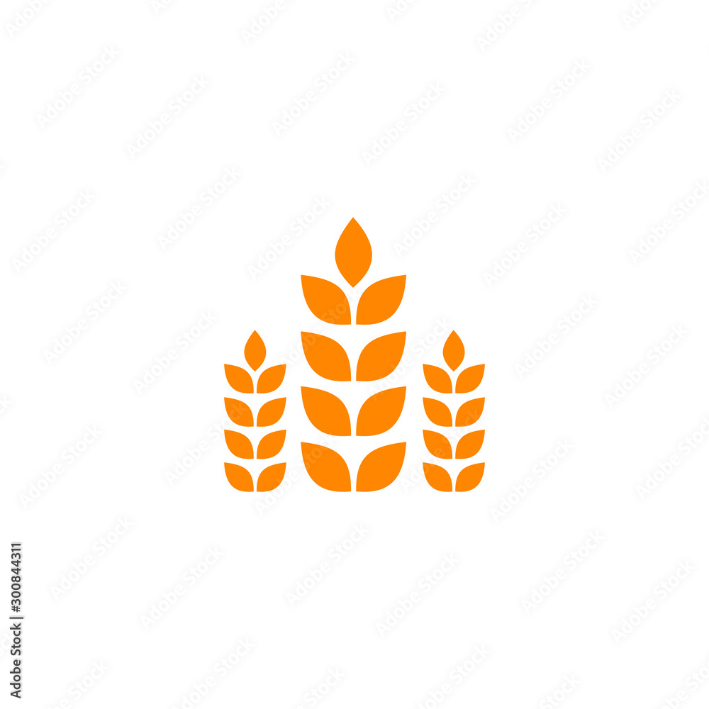 wheat vector icon illustration template