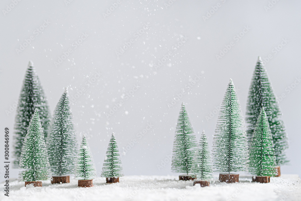 Fototapeta premium Christmas - Christmas ornament - Pine cones and branches On the snow