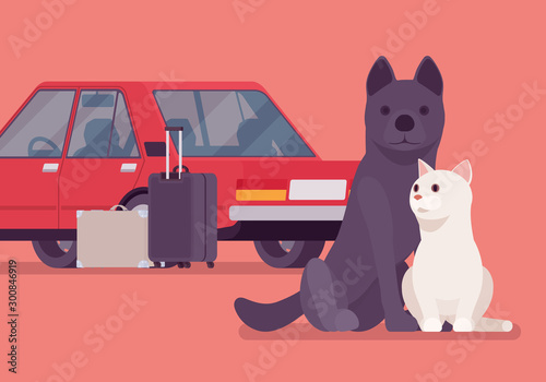 Car travel, road trip with pet cat and dog. Cute puppy and kitten fear auto riding, owners moving on vacation, leaving lonely pets behind or in boarding kennel. Vector flat style cartoon illustration