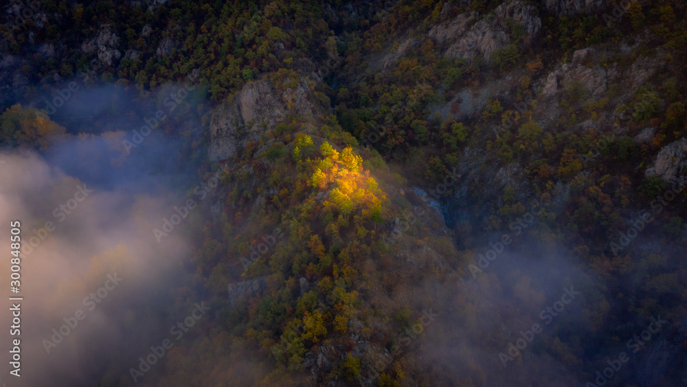 Sunrise stream reaching autumn forest Sunrise stream reaching autumn forest