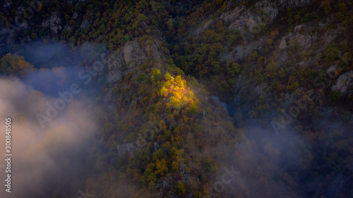 Sunrise stream reaching autumn forest 