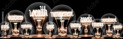Foto Light Bulbs with Wealth Management Concept