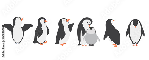 Happy penguin characters in different poses set