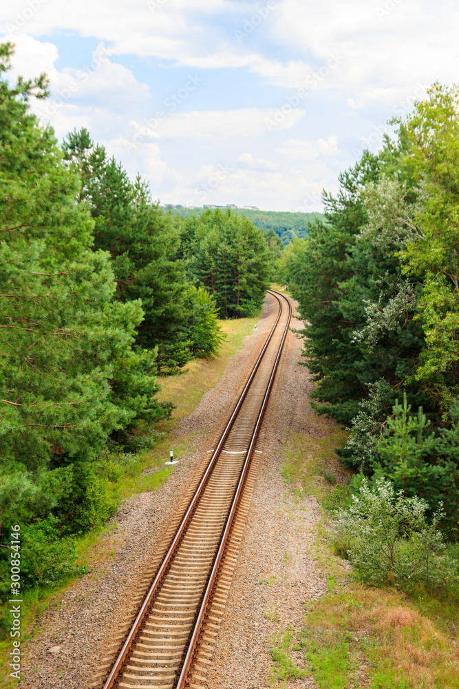Obraz premium Aerial view of railroad track through a green pine forest