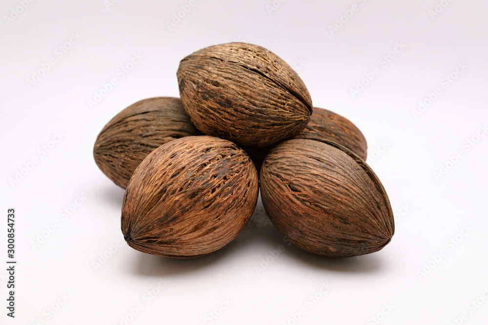 Cerbera odollam,pong pong seed
