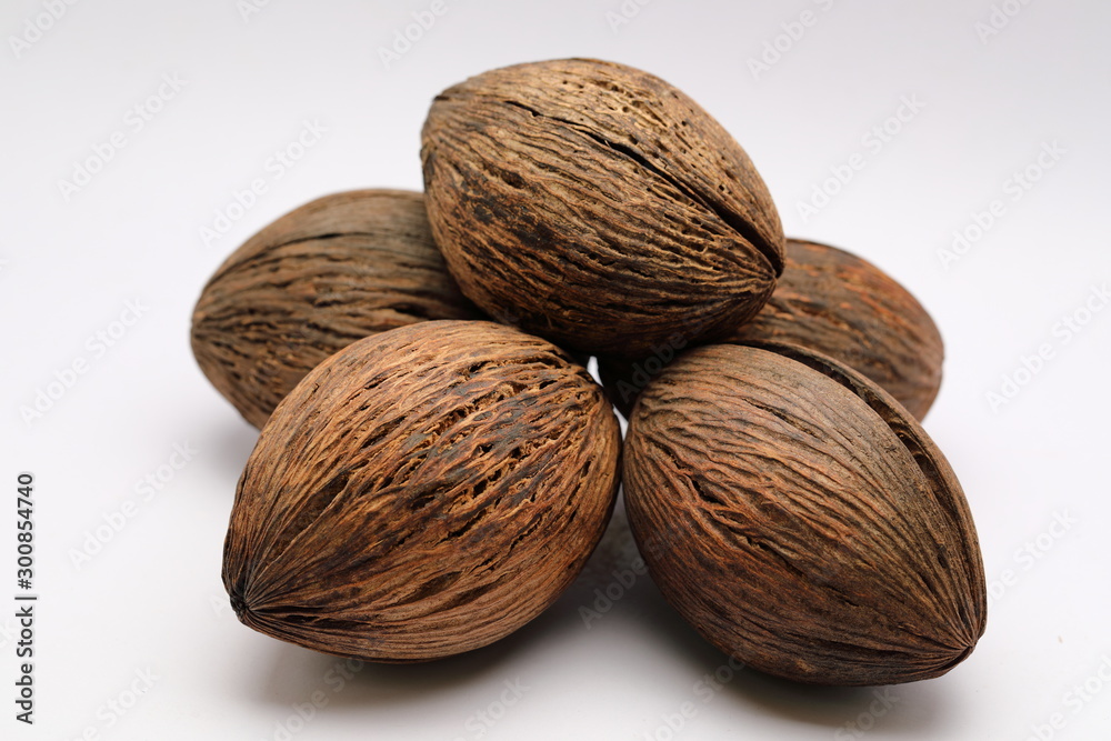 Cerbera odollam,pong pong seed Cerbera odollam,pong pong seed